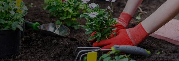 Retail garden banner